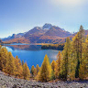 Meet your Posher, Ty